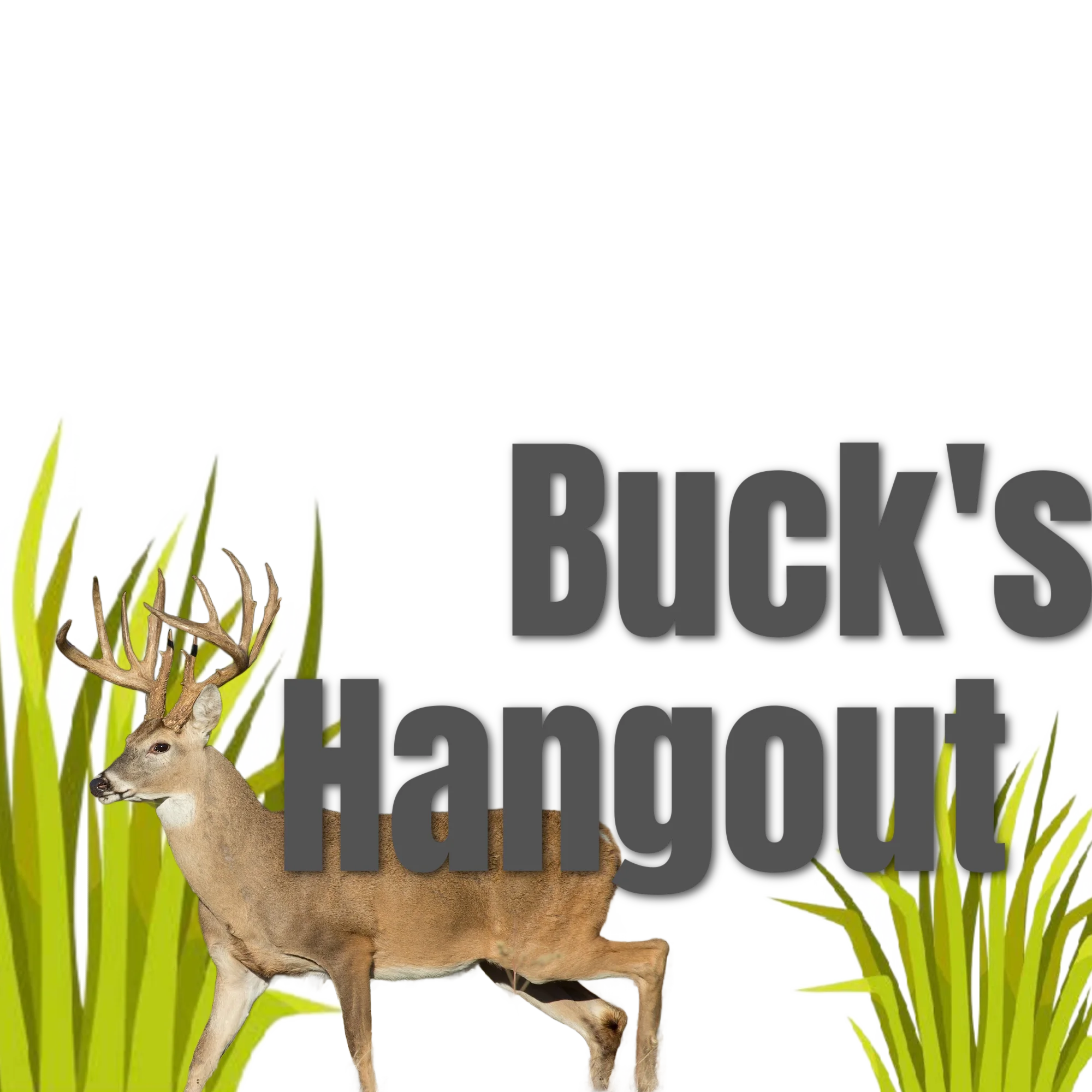 Buck's Hangout