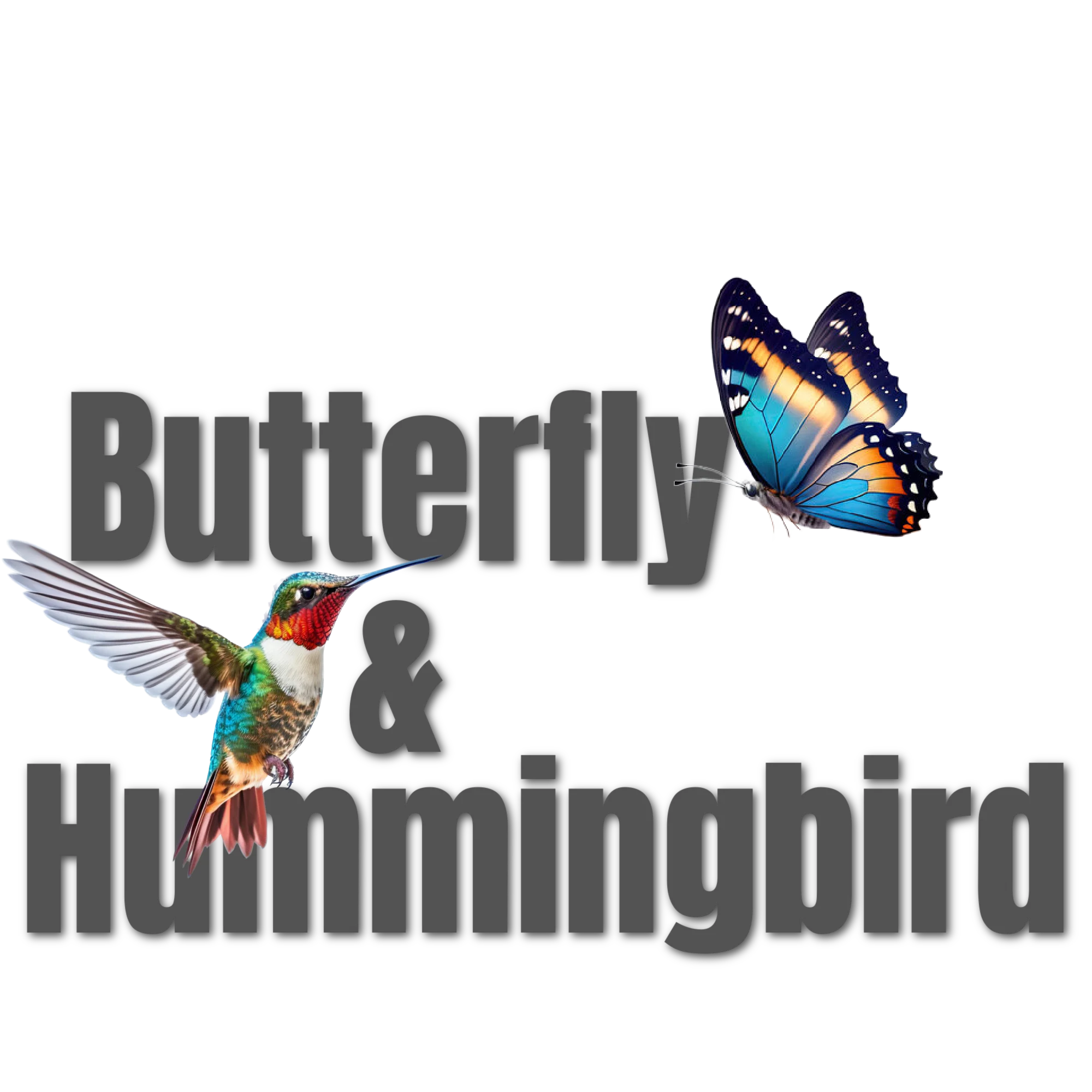 Butterfly & Hummingbird Mix