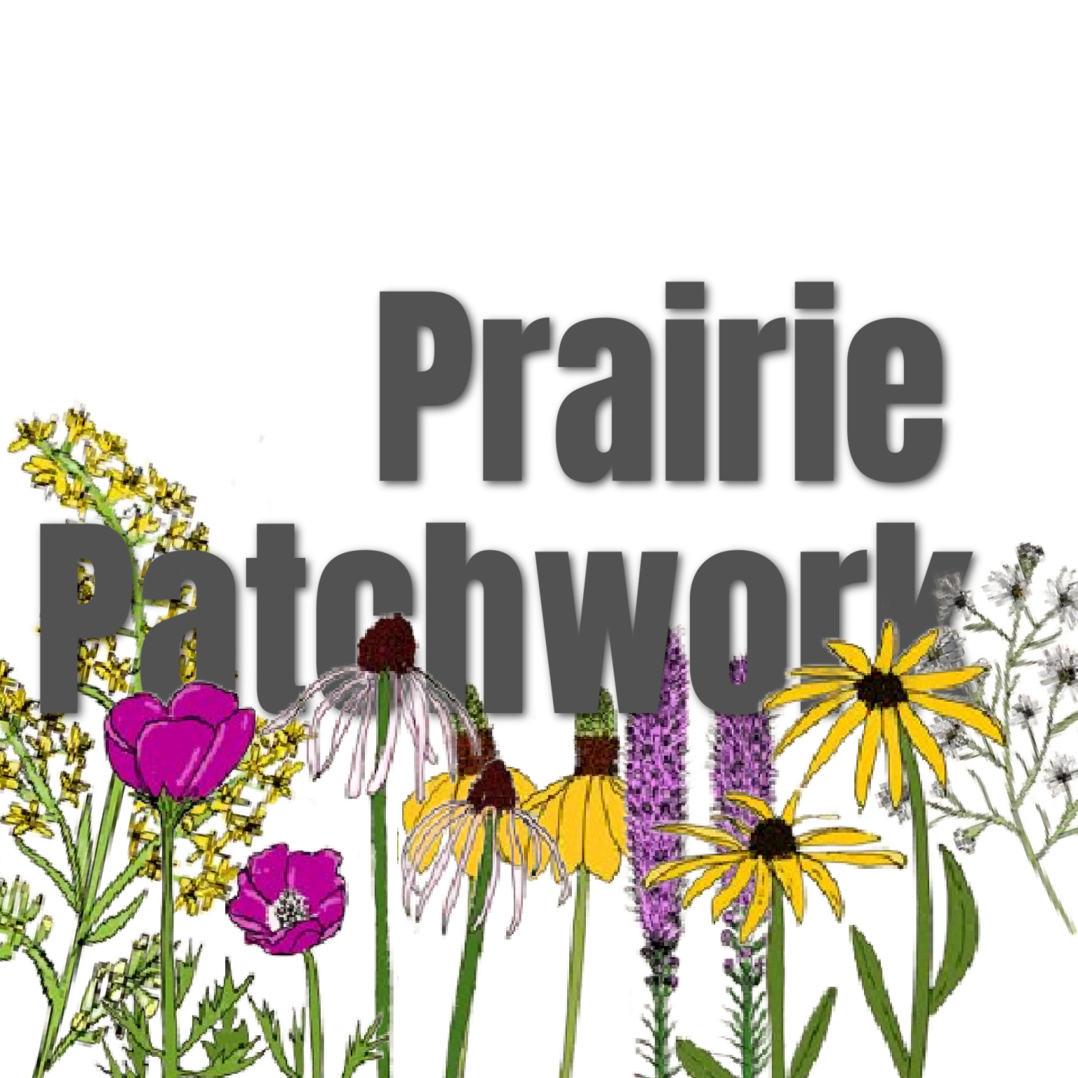 Prairie Patchwork Mix Hamilton Native Outpost