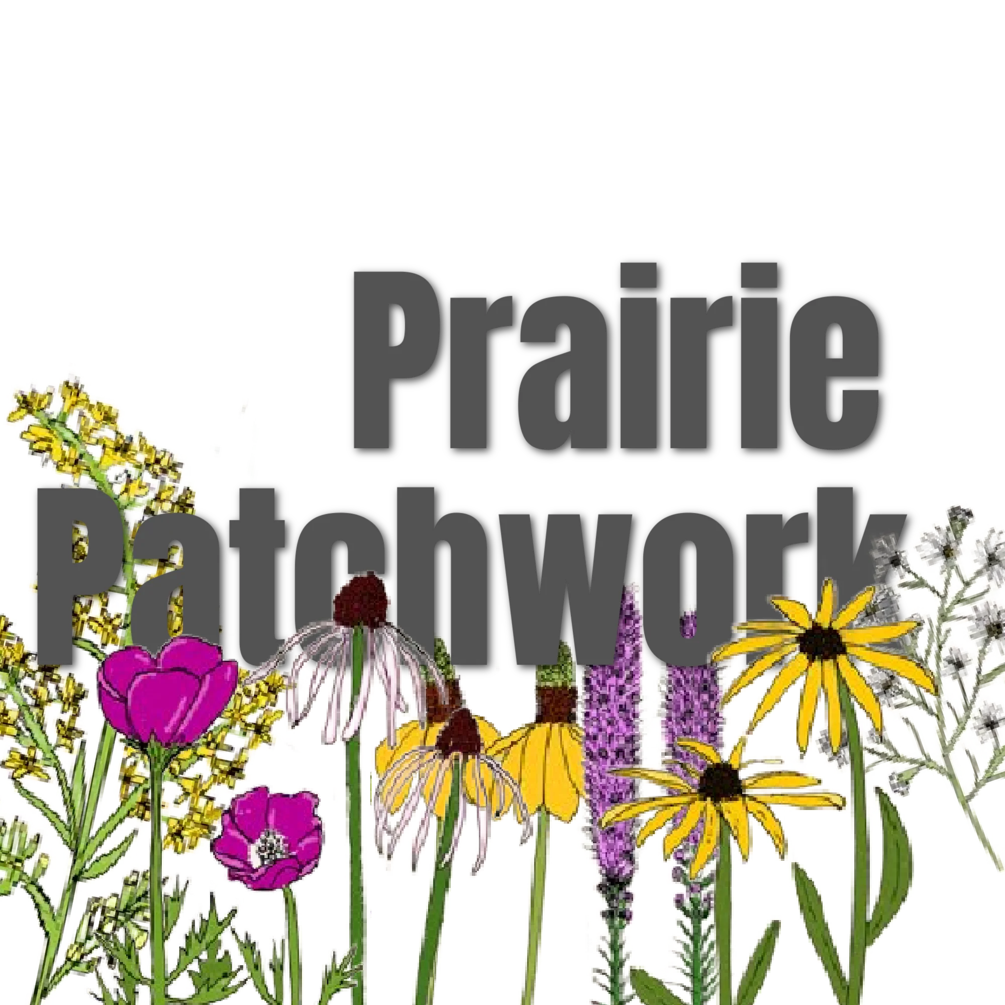 Prairie Patchwork Mix