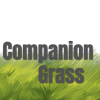 Companion Grass Mix - Dry