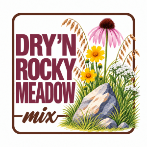 Dry 'n Rocky Meadow Mix, Hamilton Native Outpost