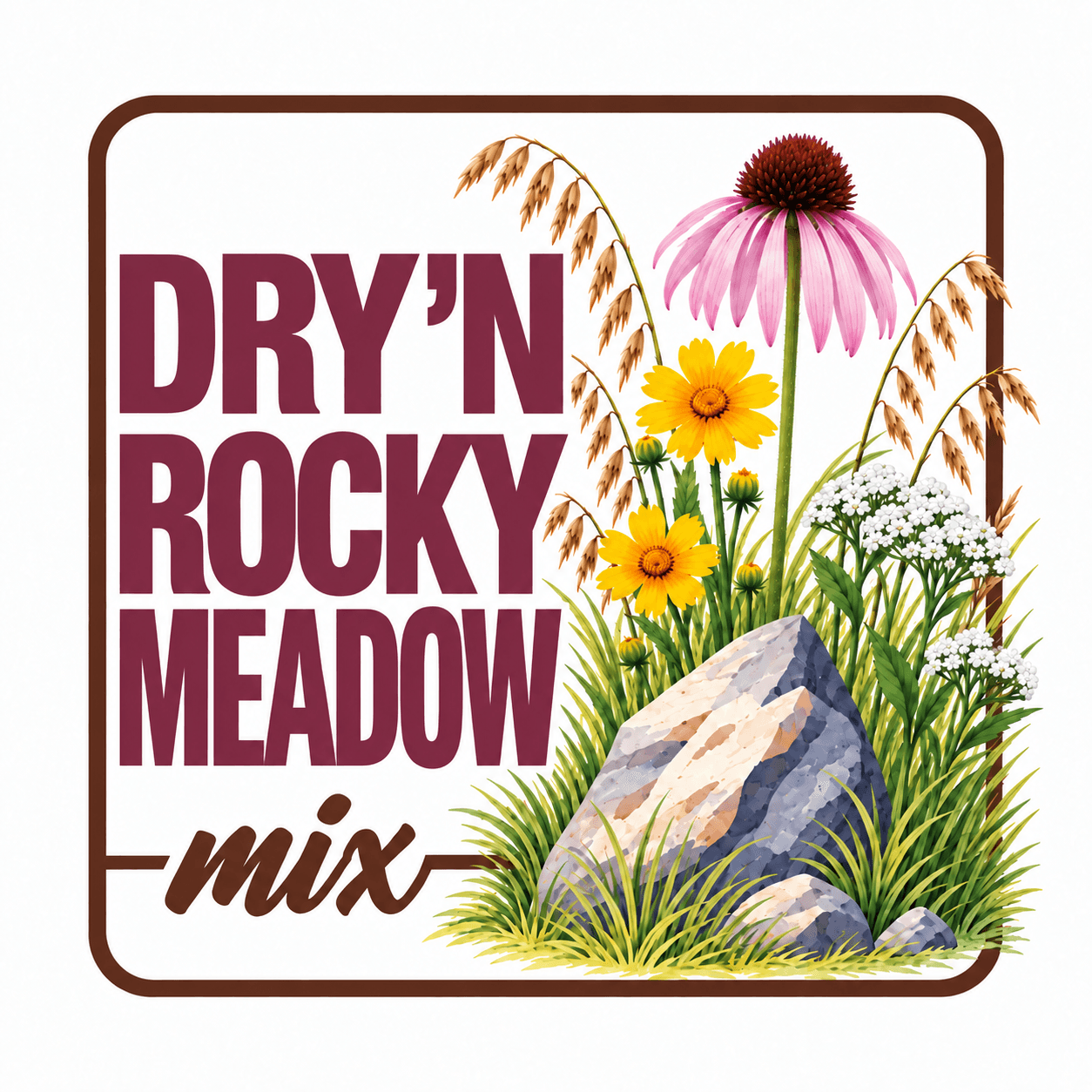 Dry 'n Rocky Meadow Mix, Hamilton Native Outpost