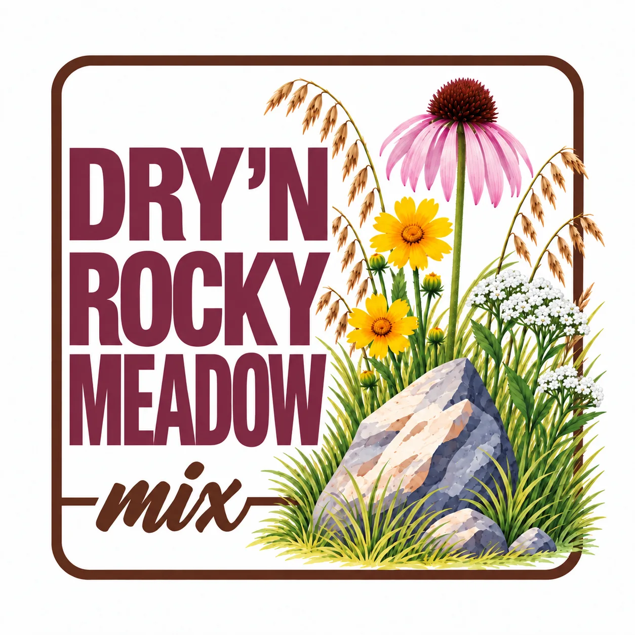 Dry 'n Rocky Meadow Mix, Hamilton Native Outpost