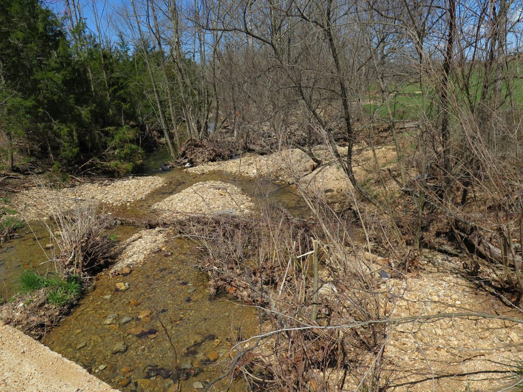 Creek, The Streams Aren't What They Used to Be... , Hamilton Native Outpost