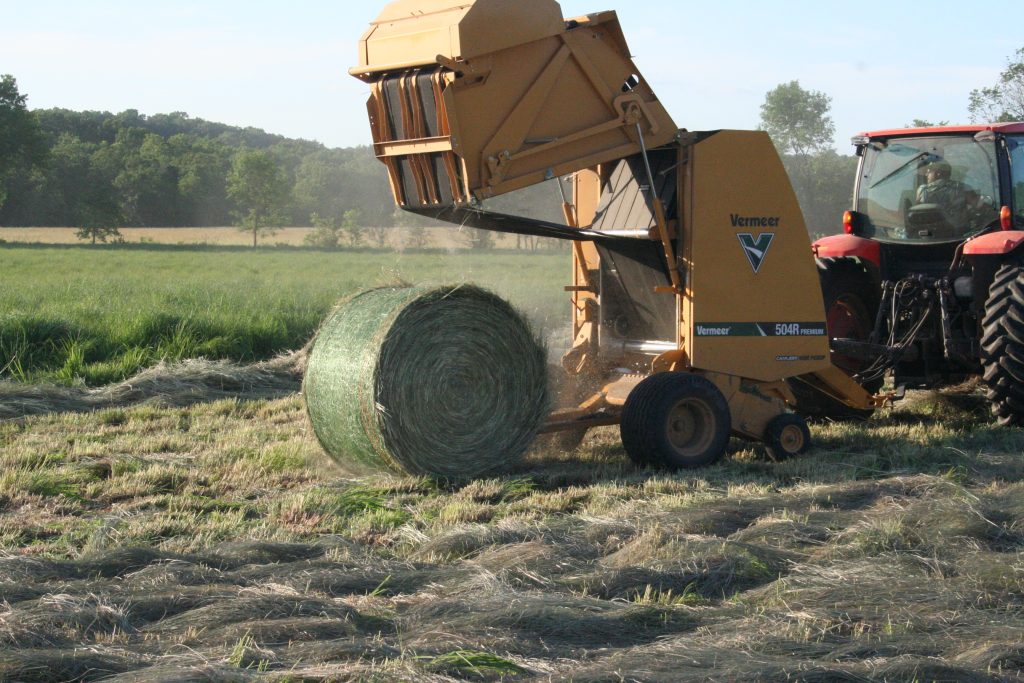 Haying Big Bluestem, The Rest of the Story on Haying Native Grass, Hamilton Native Outpost