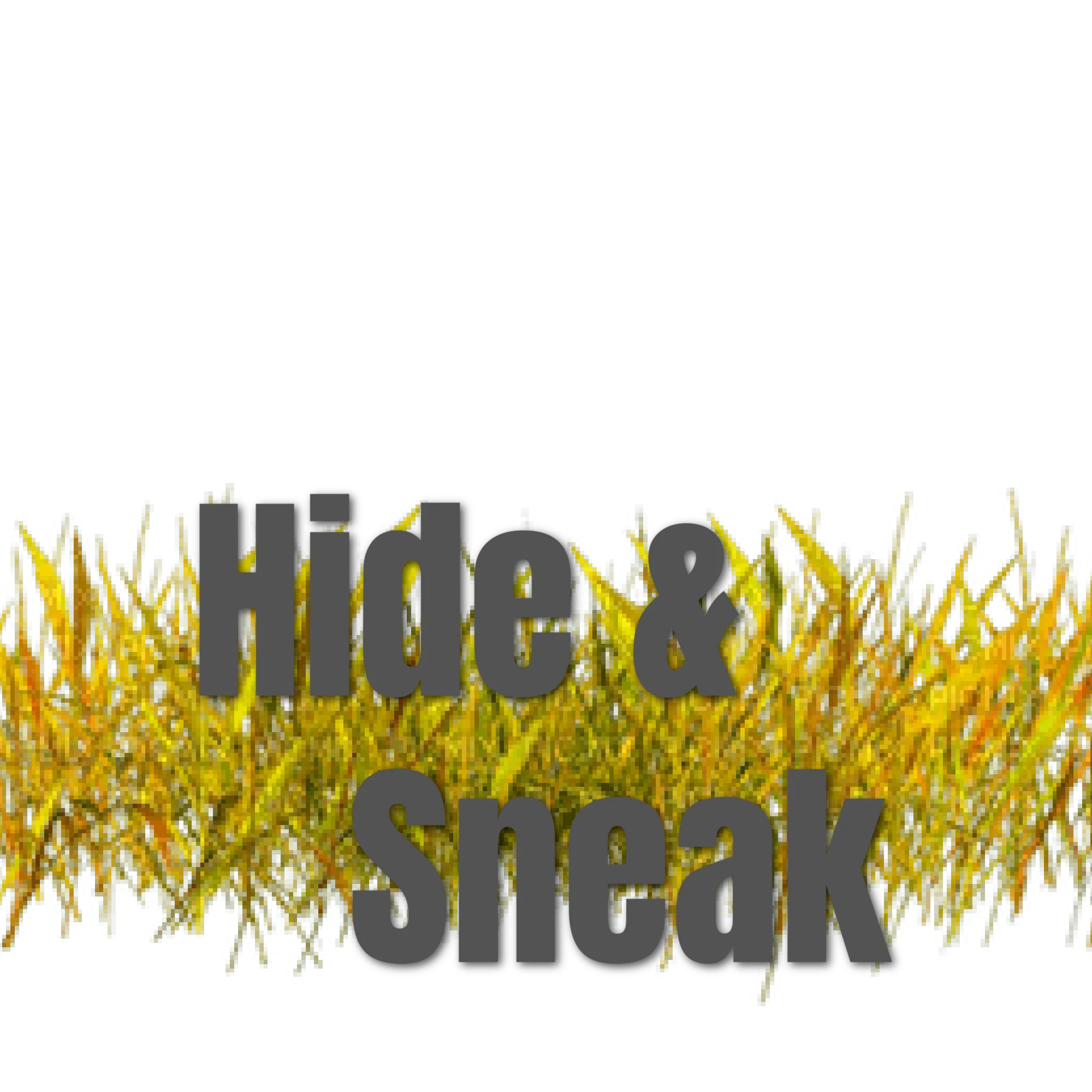 Hide and Sneak Mix
