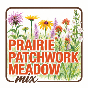 native wildflower meadow seed mix