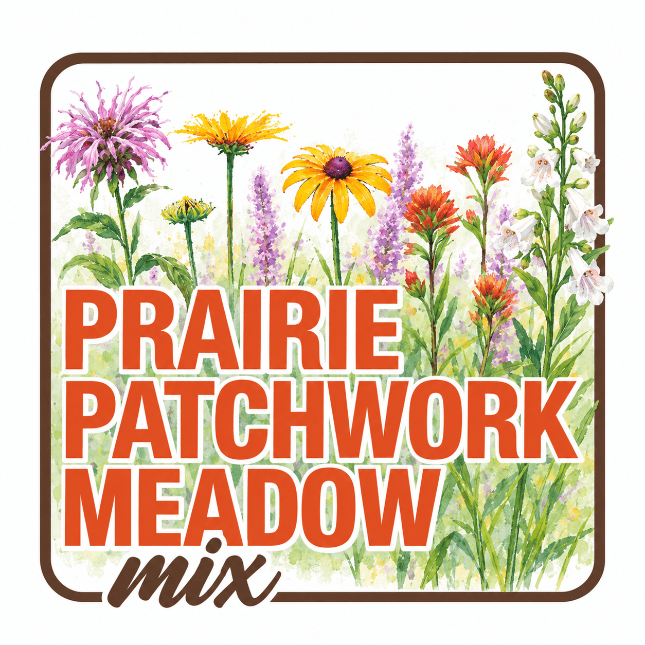 native wildflower meadow seed mix