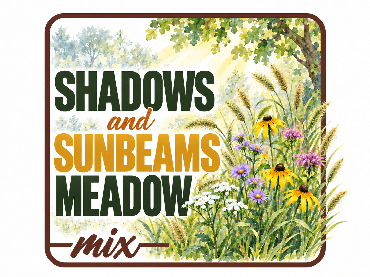 native wildflower seed mix for part shade