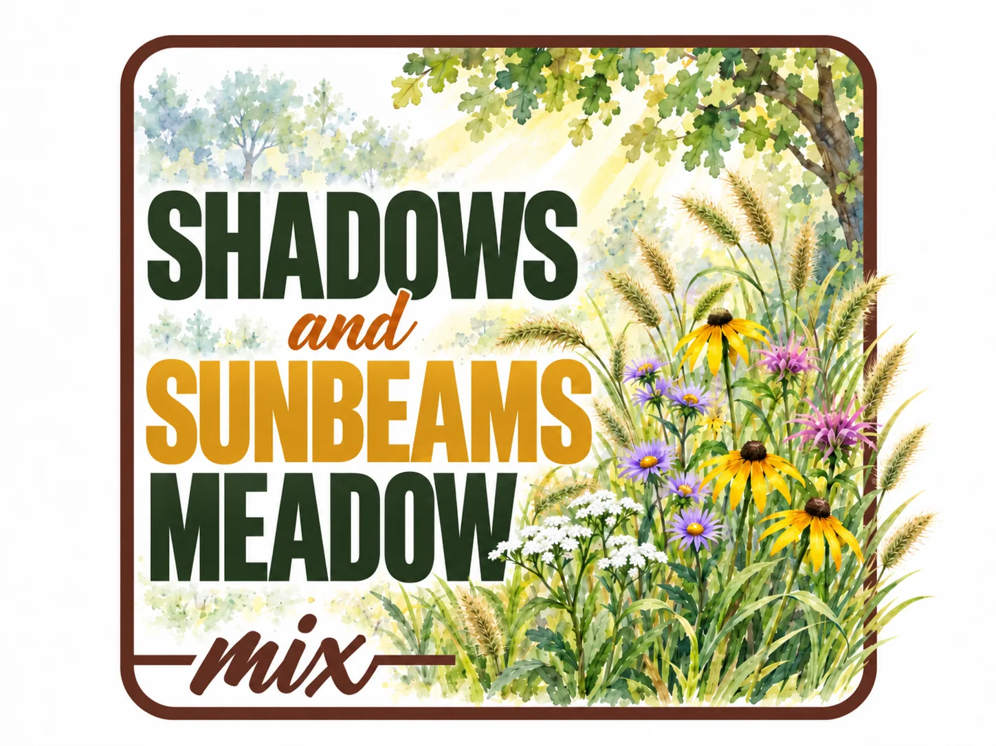 native wildflower seed mix for part shade