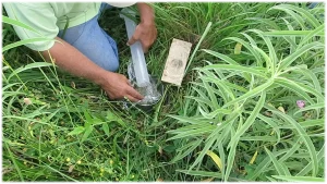 soil infiltration ring and graduated cylinder, soil infiltration test, Hamilton Native Outpost