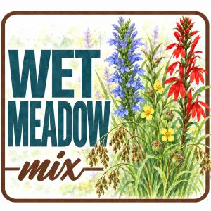 Native wildflower seed mix for wet soil