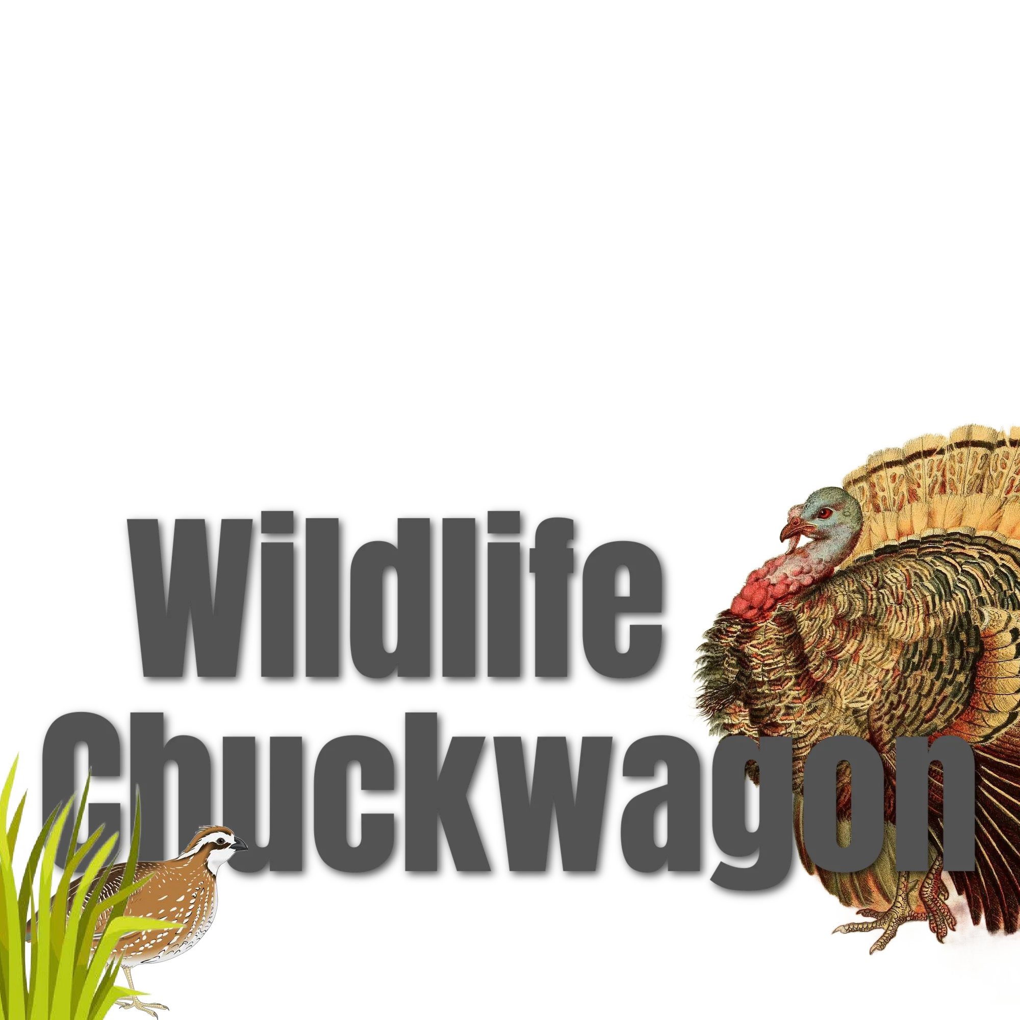 Wildlife Chuckwagon Mix