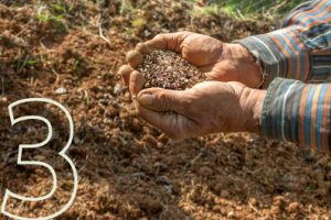 Hamilton Native Outpost Hamilton Native Outpost