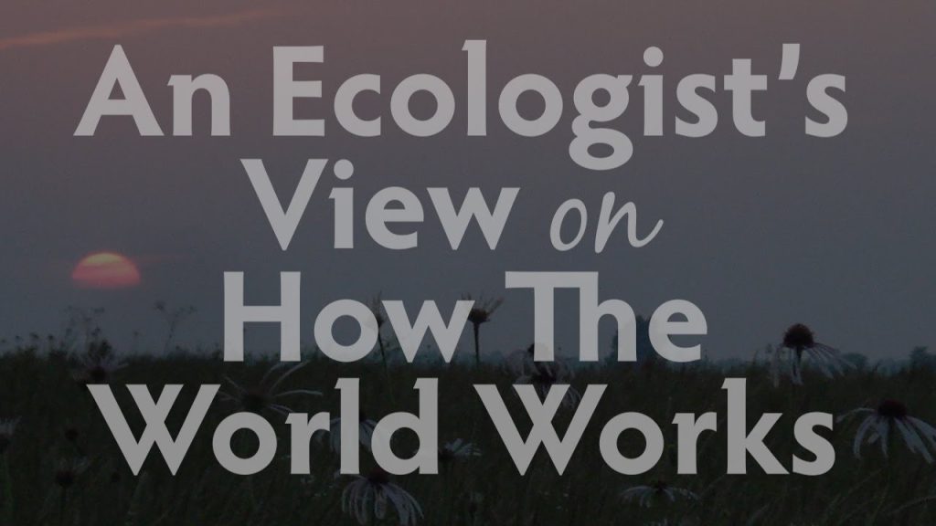 Prairie with a Sunset, An Ecologist's View on How the World Works by Justin Thomas, Hamilton Native Outpost