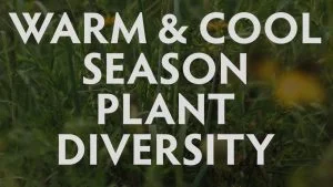 Warm and Cool Season Plant Diversity, Hamilton Native Outpost