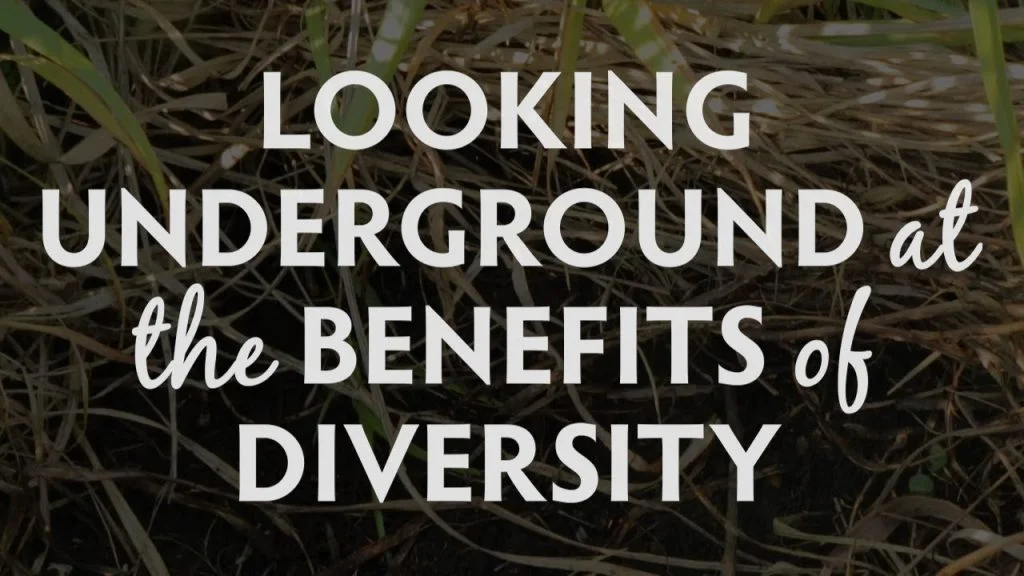 Looking Underground at the Benefits of Diversity, Hamilton Native Outpost