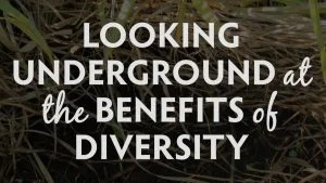 Looking Underground at the Benefits of Diversity, Hamilton Native Outpost