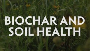 Biochar & Soil Health, Hamilton Native Outpost