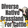 Diverse Native Grassland for Cattle Seed Mix