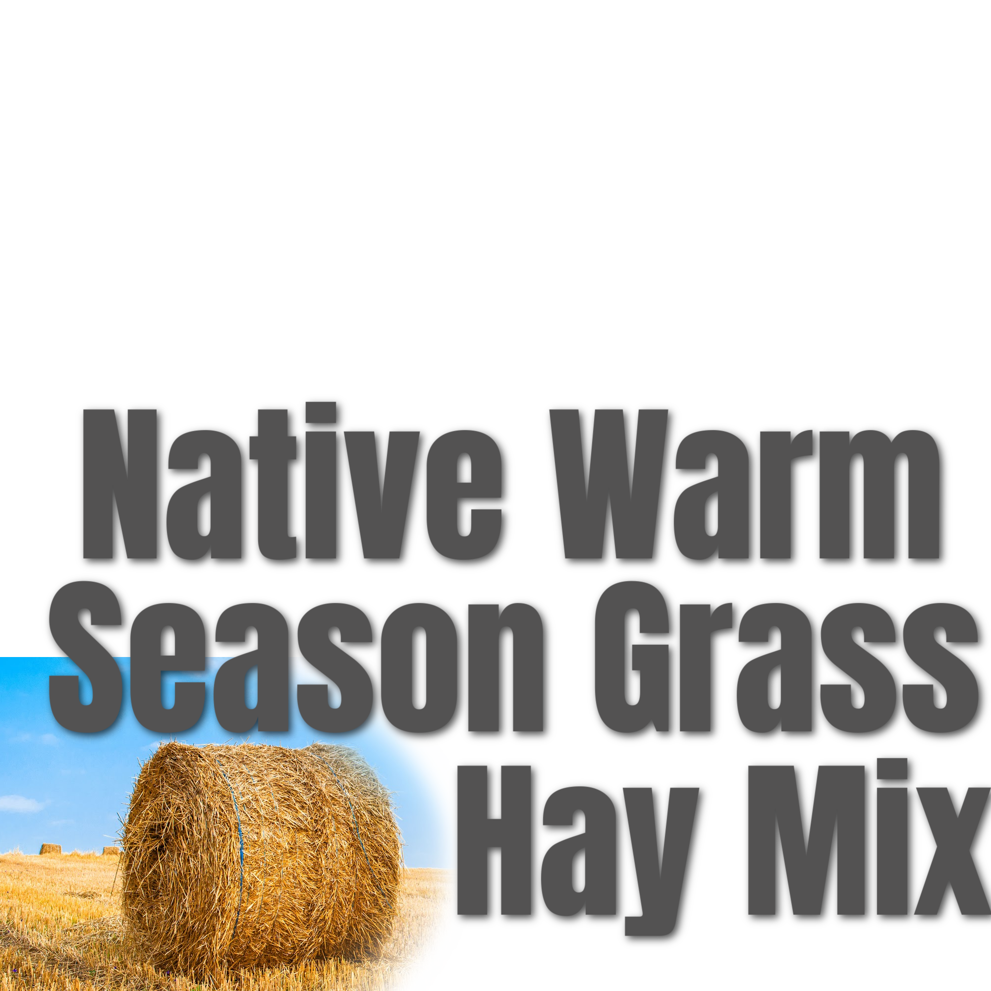 Hay Mix | Hamilton Native Outpost