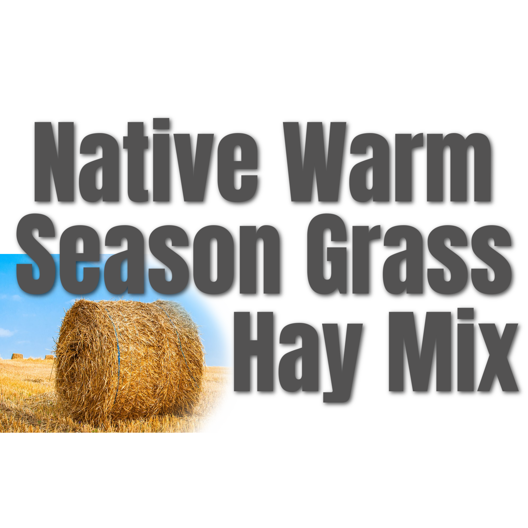 Shop Native Seed Hamilton Native Outpost