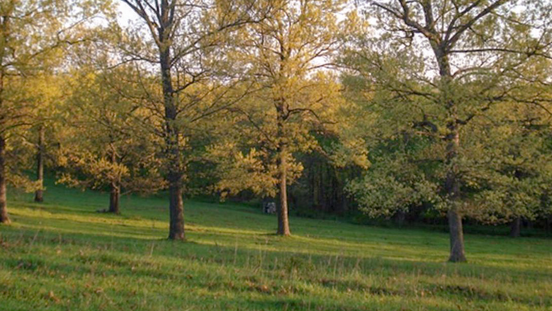 Blogs Videos Hamilton Native Outpost