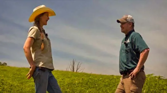 Explore the benefits of a diverse native grassland to the birds that live there.