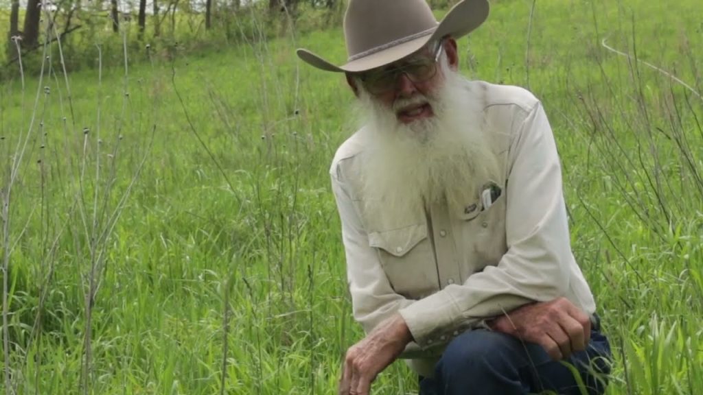 Rex Hamilton, the founder of Hamilton Native Outpost and now passed, gives his experience of and the introduction of fescue into Missouri, and it's disadvantages.