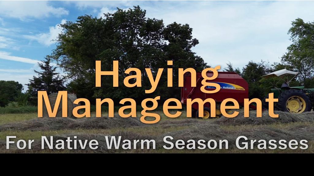 Haying Management