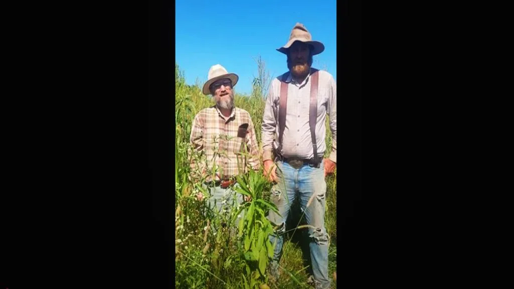 Join Colt Hamilton of Hamilton Native Outpost and Wilbur Graybill of Graybill Grass Ranch for a walk around The Graybill Grass Ranch to see how Wilbur's 50 species Diverse Native Grassland is thriving.