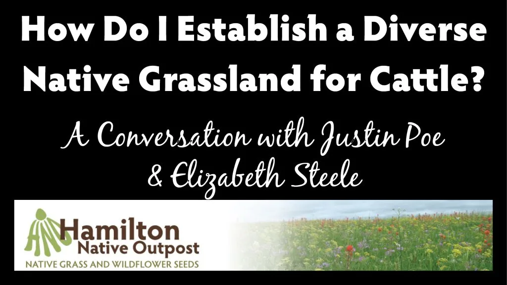 A conversation between Justin Poe & Elizabeth Steele