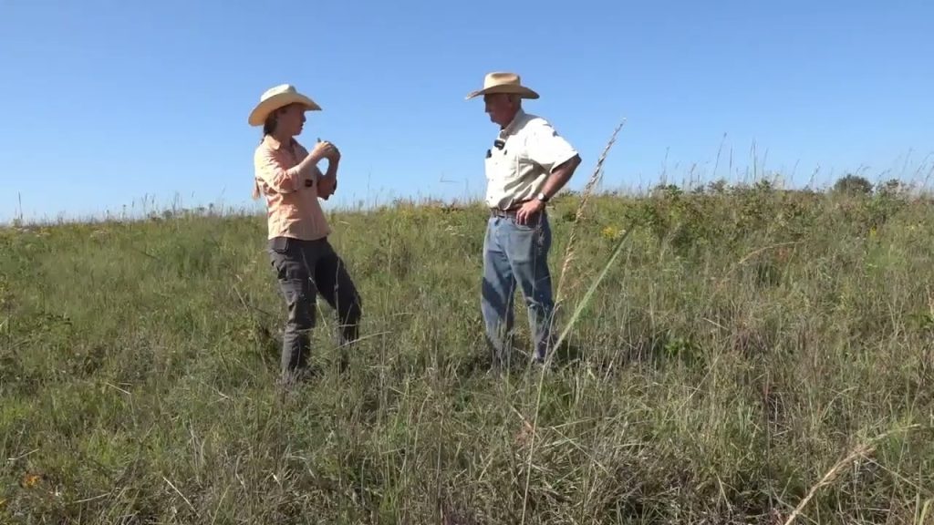 Not All Thistles are Invasive