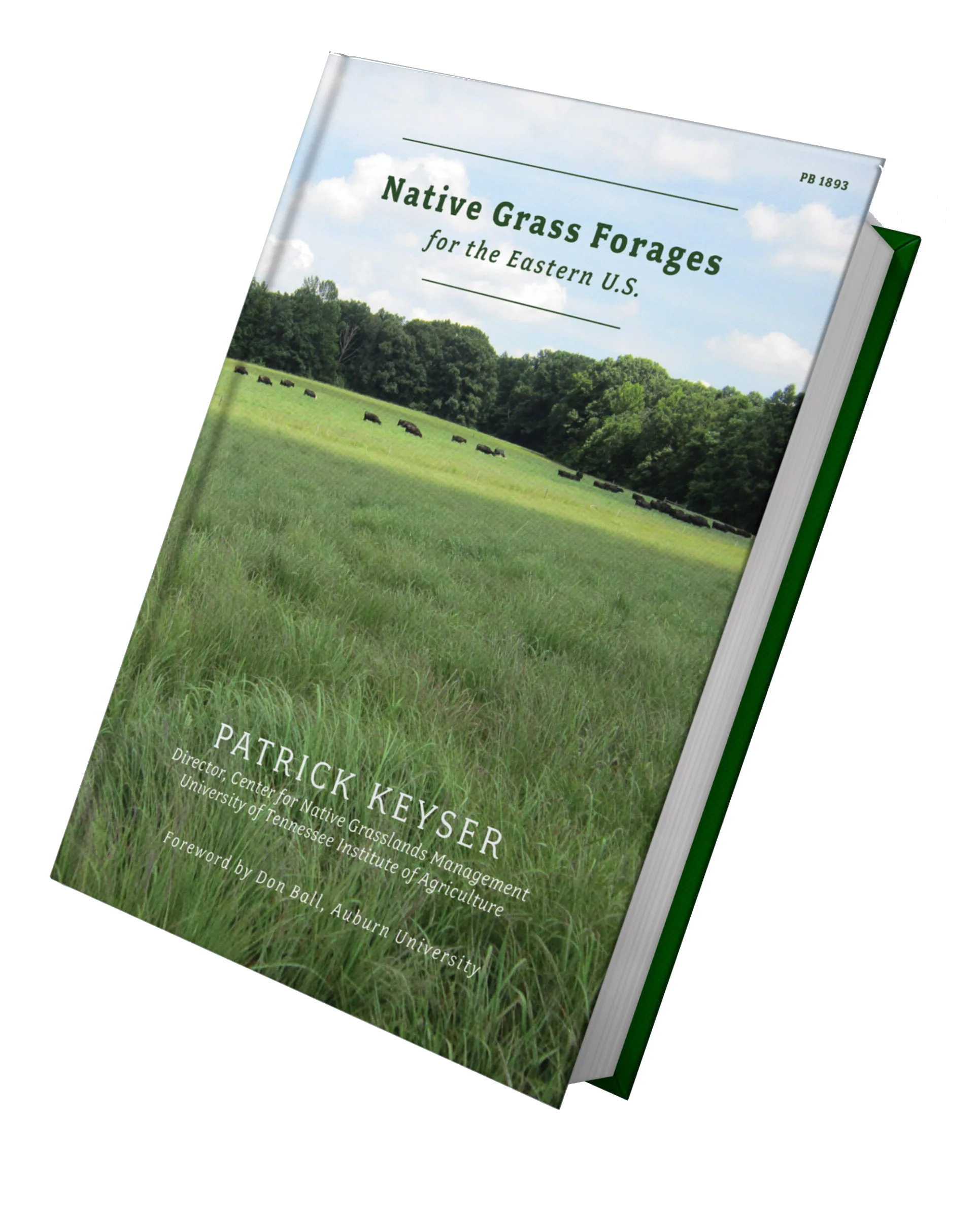 Native grass forage seed collection