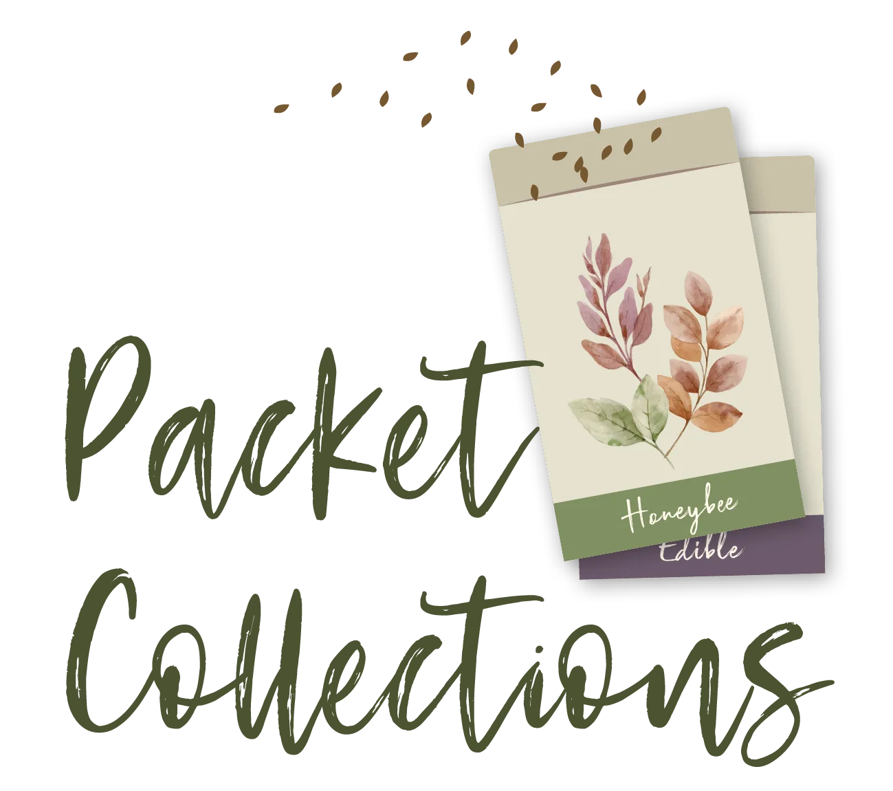 Hummingbird habitat native wildflower seed collection