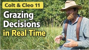 Real Time Grazing Decisions