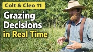 Real Time Grazing Decisions