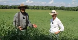 native warm season grass fertilizer results