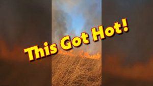 controlled burn native warm season grass