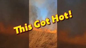 controlled burn native warm season grass