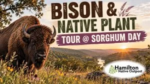 Native plant and Bison Tour